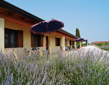 tenuta regina