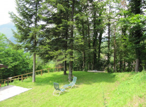 image1 Fanny