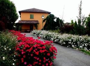 image11 Villa Paradiso