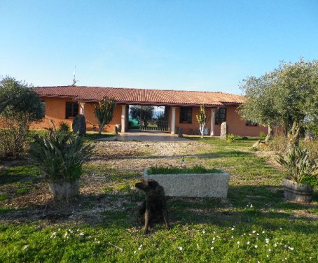 Farm-house Cuccuru Aiò - Oristano