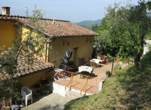 image17 Celli