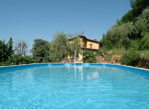 image4 Celli