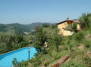 image19 Celli