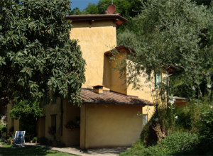 image2 Celli