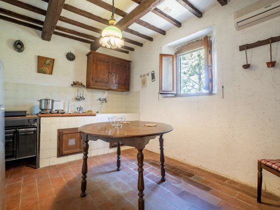 casa olivo foto interni 4