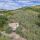 preview image11 panorama