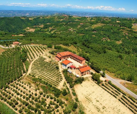 Nello Splendido Scenario Delle Langhe 