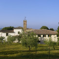 Fattoria Di Rignana