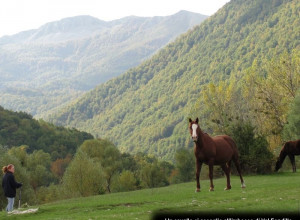 image7 Le Acacie Abruzzo