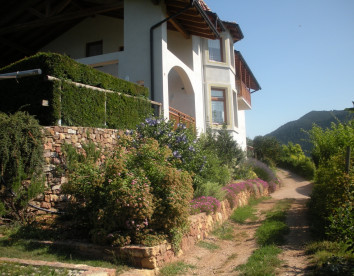 maso pomarolli