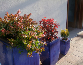 l'acero rosso