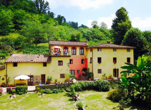image29 A Casa Del Tosi
