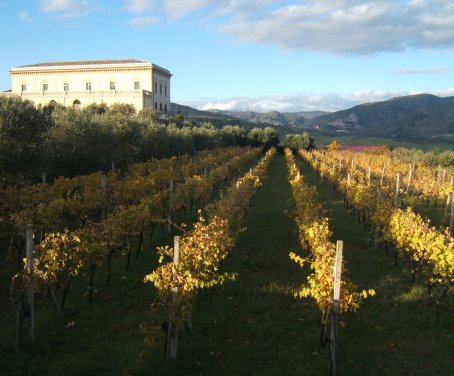 feudo vagliasindi - Sicilia