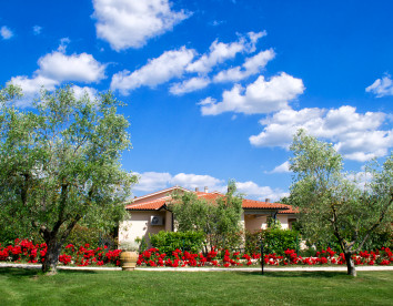 poggio degli olivi green houses saturnia