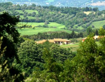 poggio degli olivi green houses saturnia