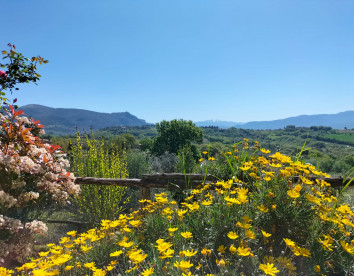 poggio del sole