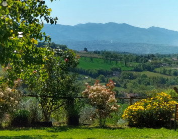 poggio del sole