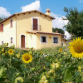 Poggio Del Sole