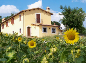 poggio del sole - Lernbauernhöfe