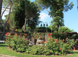 image11 Ristorante Centopini