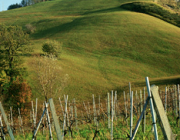 ristorante centopini