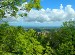 image20 Ristorante Centopini