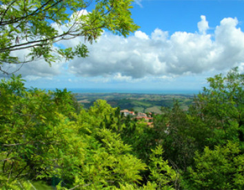 ristorante centopini