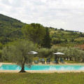 Policleto