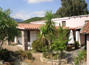 image2 Camboni