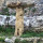 preview image11 esterno