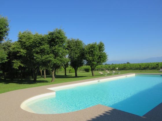 Borgo San Donino - foto 12