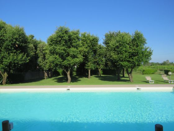 Borgo San Donino - foto 11