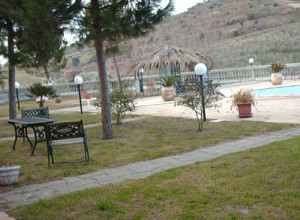image11 Agri Club
