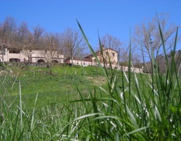 la carbonaia - Toscana
