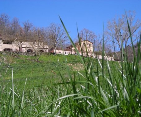 la carbonaia - Toscana