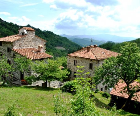 Casa-rural Bio Agriturismo Il Vigno - Caprese Michelangelo