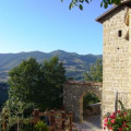 Arcera