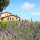 preview image6 esterno