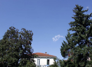 image4 Villa Magnolia