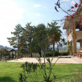 Il Geranio