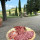 preview image17 pietanze