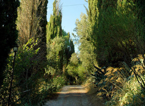 image3 Villa I Tigli