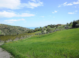 image4 Grassetti