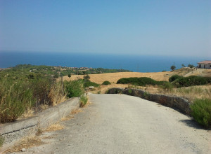 image1 Grassetti