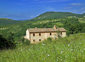 image4 I Casali Di Caicocci