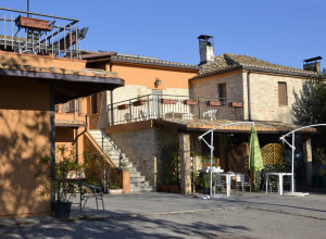 image14 Gli Olmi