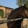 preview image6 esterno