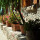 preview image8 esterno