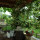 preview image9 esterno