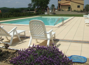 image19 Biologico Bellaria